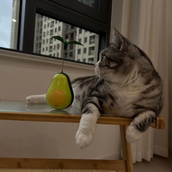 Avocado Wobbler — 3-in-1 Interactive Cat Toy & Catnip