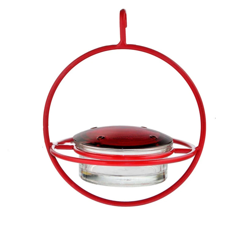 Hanging Hummingbird Feeder with Perch & Glass Dish