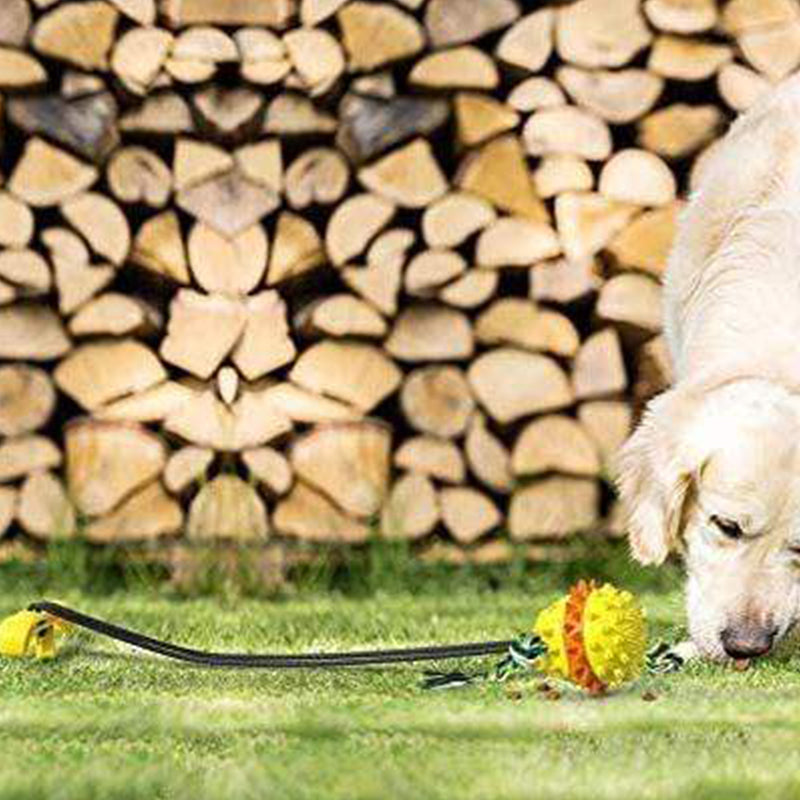 Outdoor Tug Toy with Ground Stake for Dogs