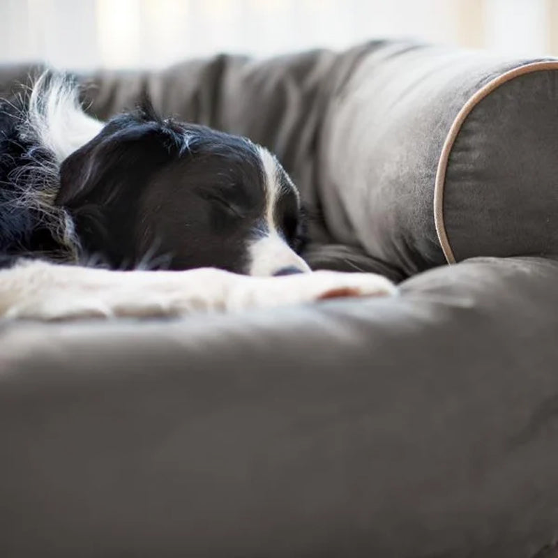 Cozy Sofa Pet Bed with Bolster Arms