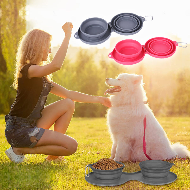 Collapsible Double Travel Dog Bowl Set with Carabiner
