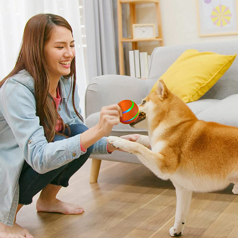 Smart Interactive Rolling Ball for Dogs & Cats
