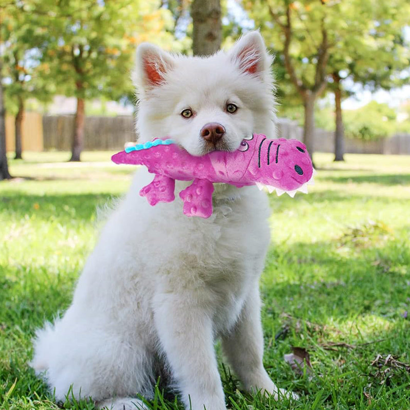 No-Stuffing Crinkle Crocodile Squeaky Dog Toy