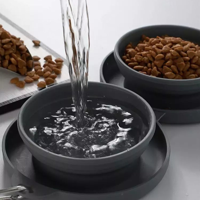 Collapsible Double Travel Dog Bowl Set with Carabiner
