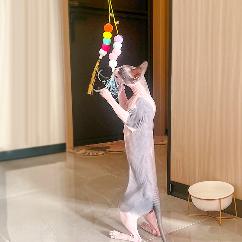 Adjustable Hanging Door Cat Toy with Bungee Rope