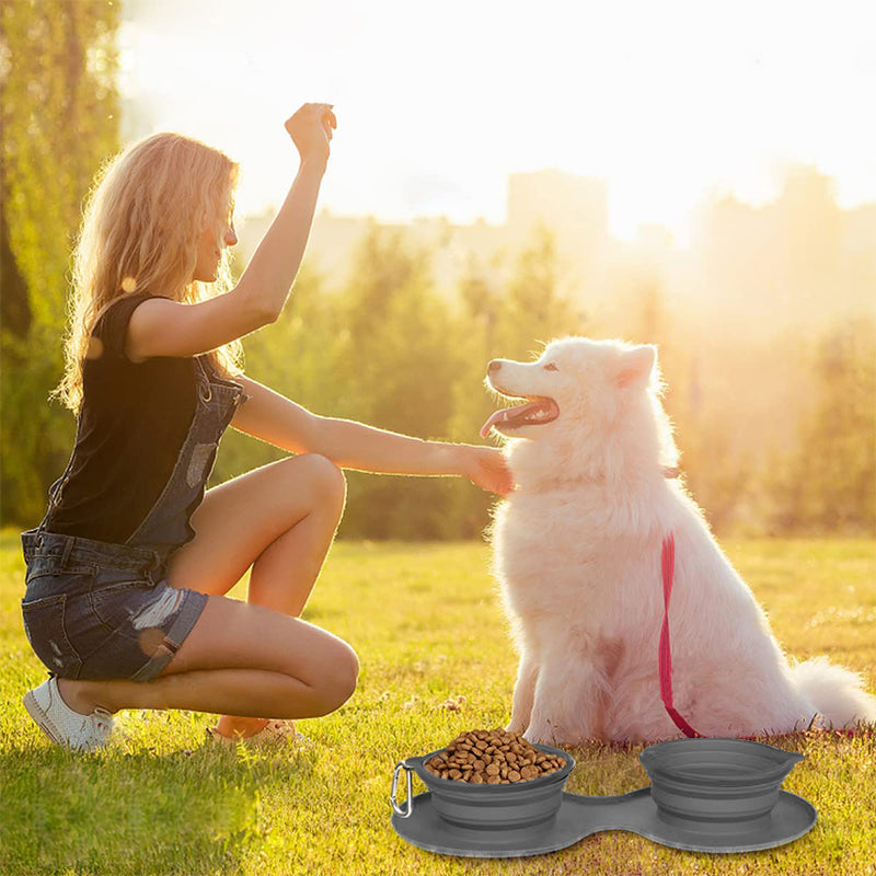 Collapsible Double Travel Dog Bowl Set with Carabiner