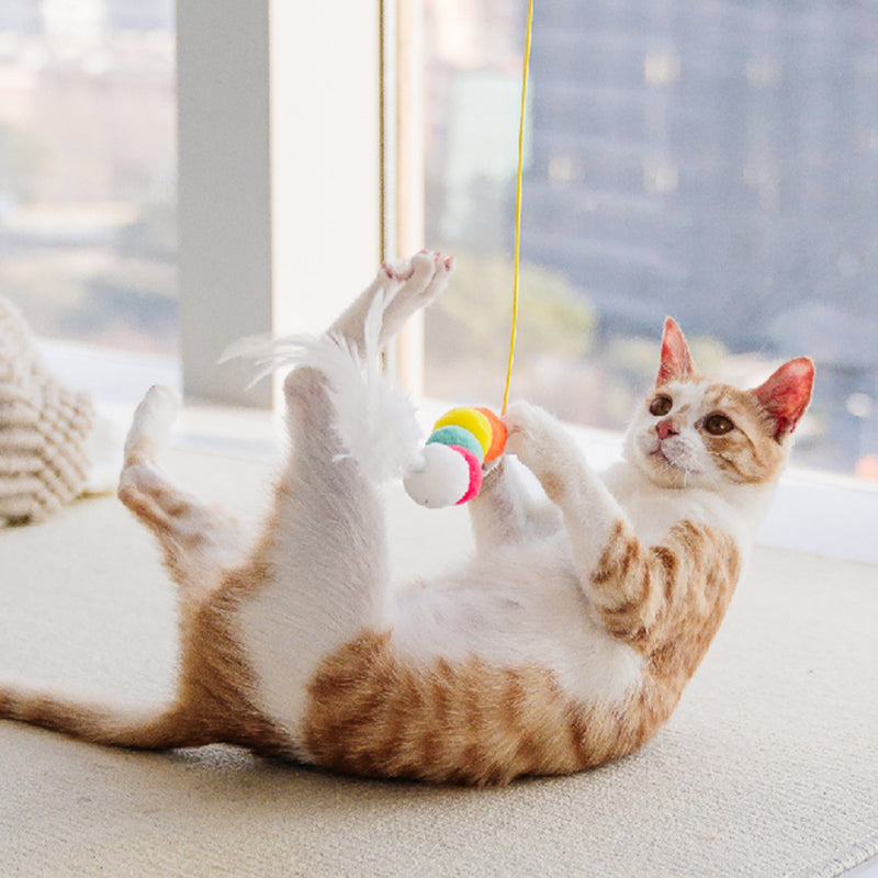 Adjustable Hanging Door Cat Toy with Bungee Rope