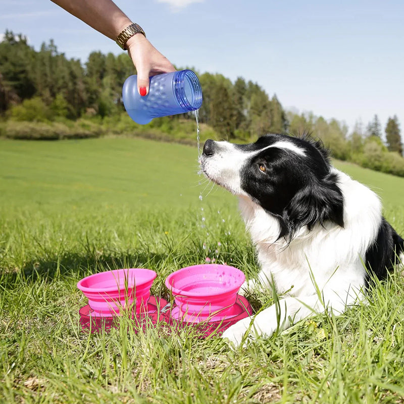 Collapsible Double Travel Dog Bowl Set with Carabiner