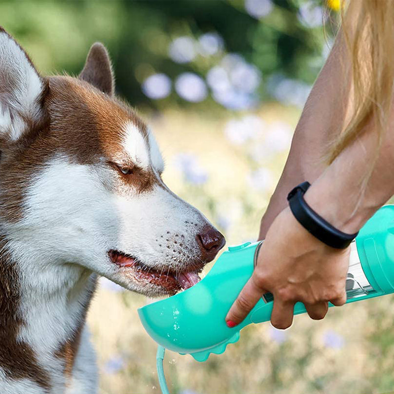 3-in-1 Portable Dog Water Bottle for Walks & Travel