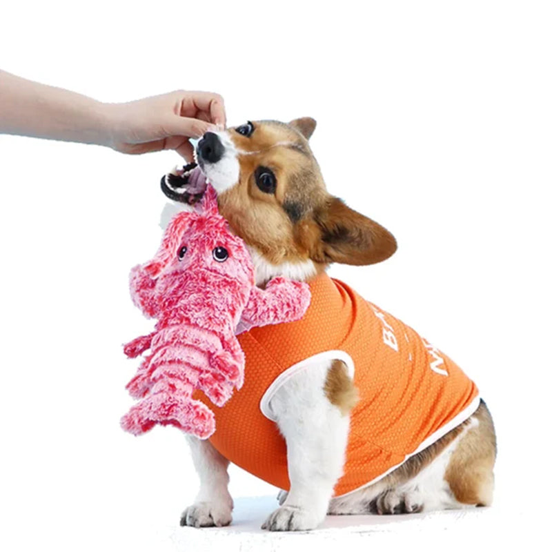 Interactive Jumping Lobster Toy for Cats & Dogs