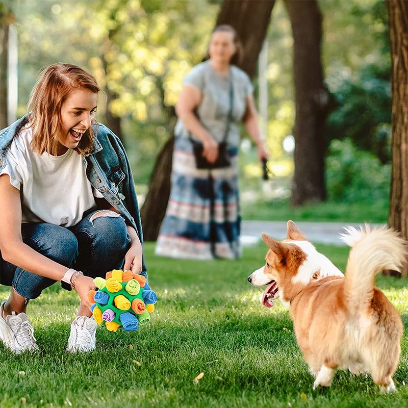 Snuffle Ball Slow Feeder & Foraging Toy for Dogs