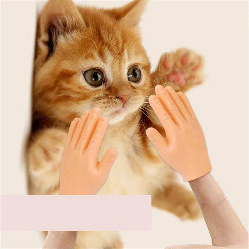 Tiny Hands Interactive Cat Teaser Toy Set