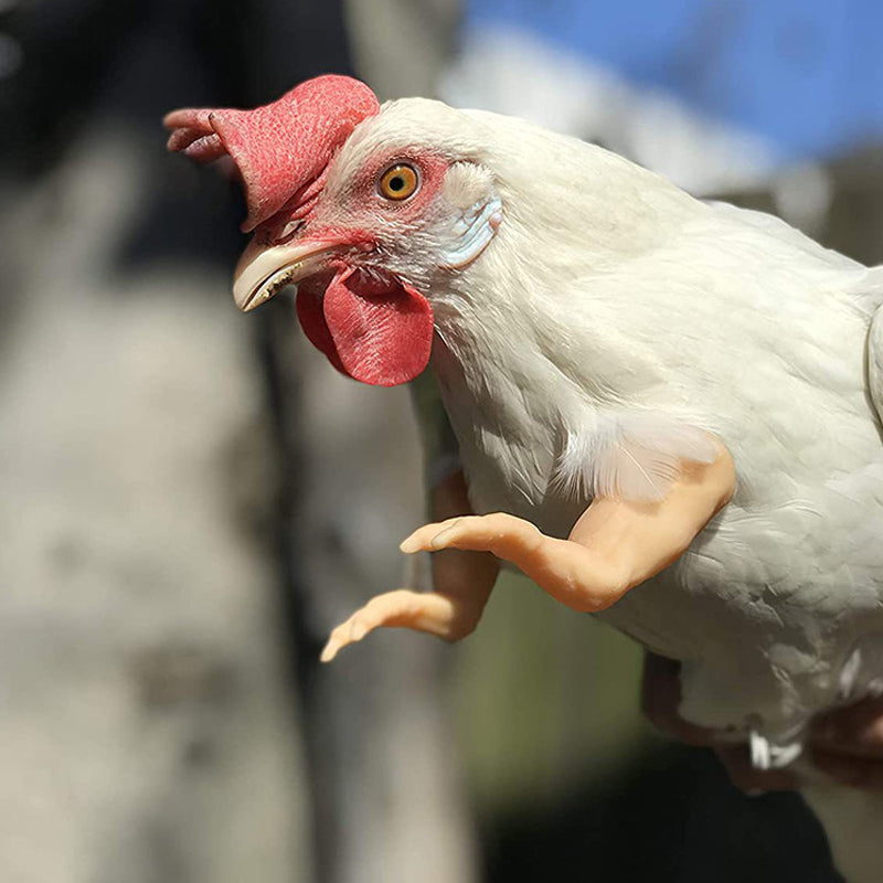 3D-Printed Chicken Arms - Funny Hen Costume