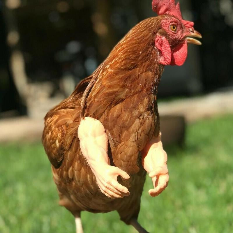 3D-Printed Chicken Arms - Funny Hen Costume