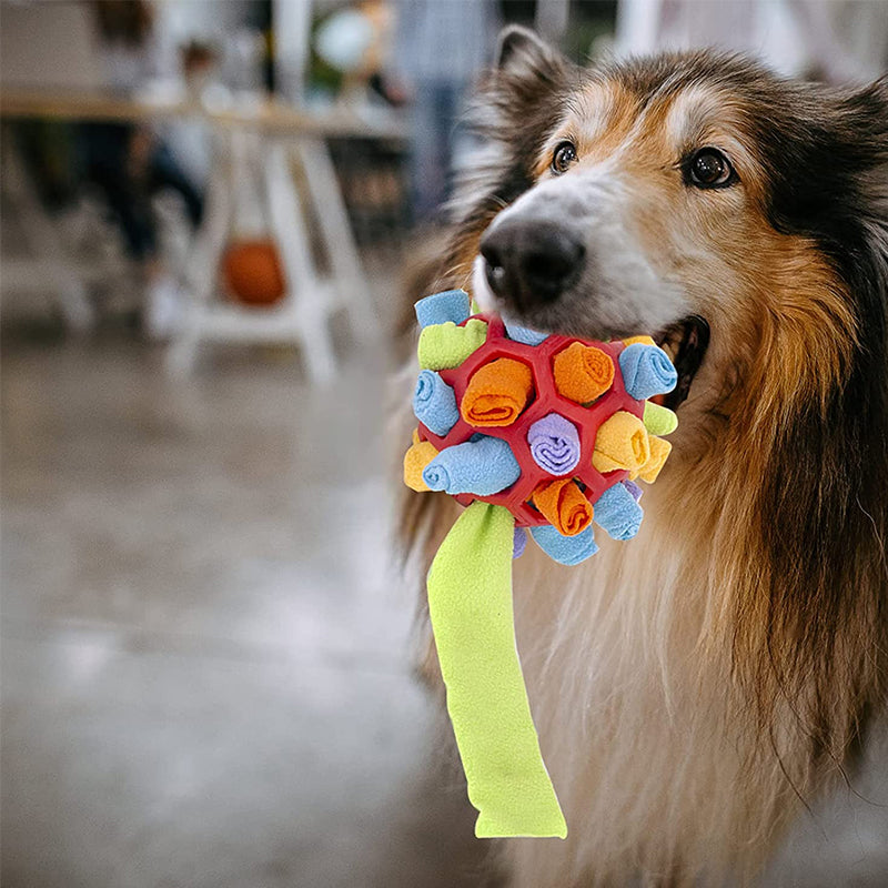Snuffle Ball Slow Feeder & Foraging Toy for Dogs
