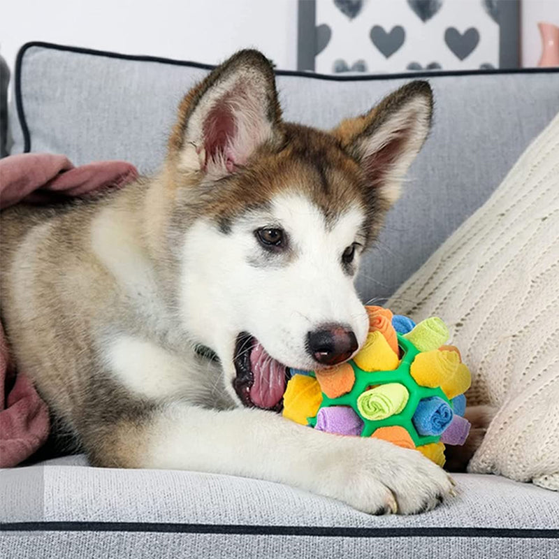 Snuffle Ball Slow Feeder & Foraging Toy for Dogs
