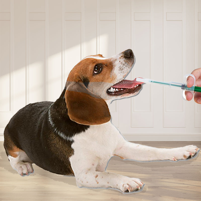 Pet Pill Dispenser Syringe for Dogs & Cats