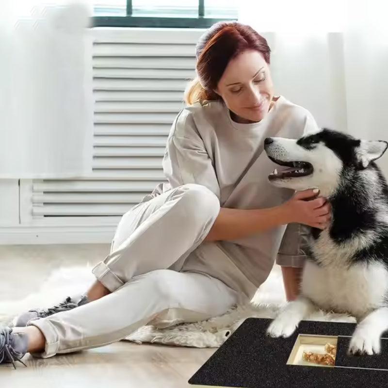 Dog Nail Scratch Board with Hidden Treat Drawer