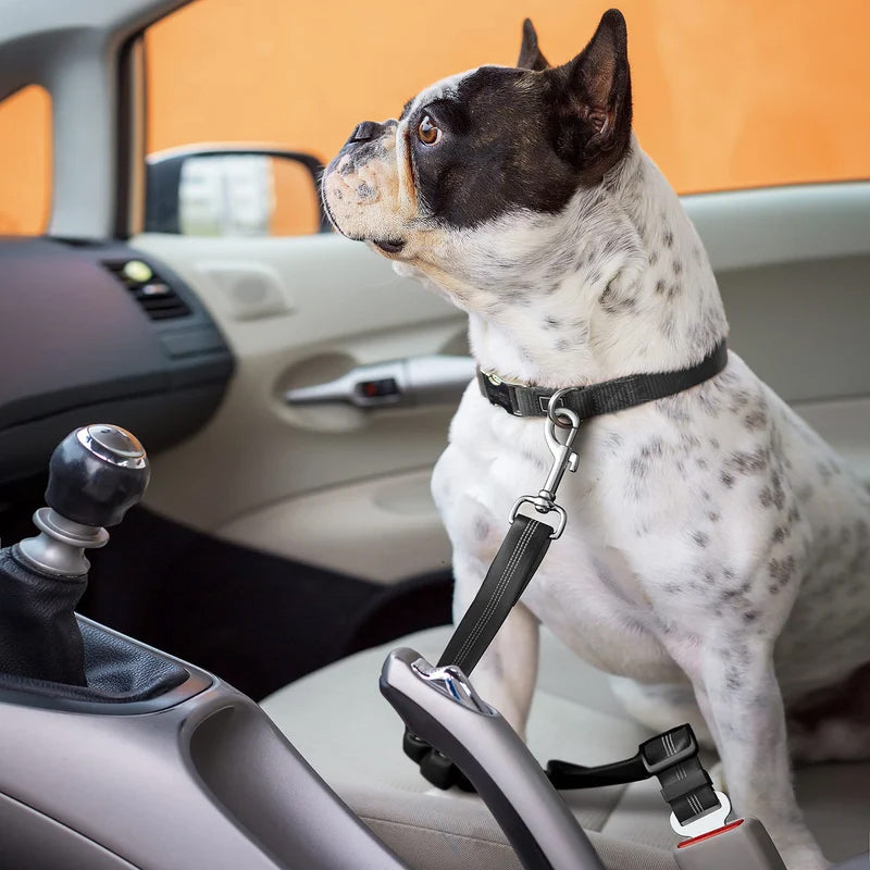 Elastic Dog Car Seat Belt with Shock-Absorbing Bungee