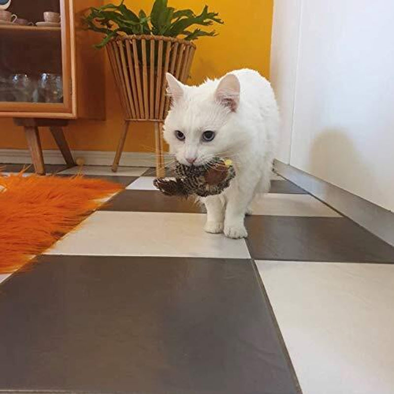 Chirping Bird Cat Toy with Real Bird Sounds