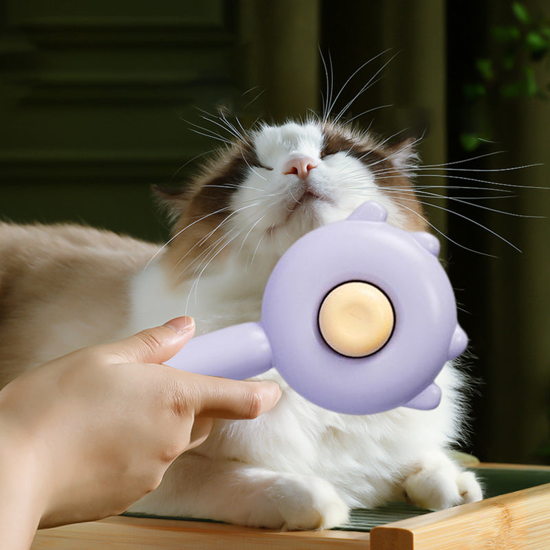Self-Cleaning Slicker Brush for Dogs & Cats