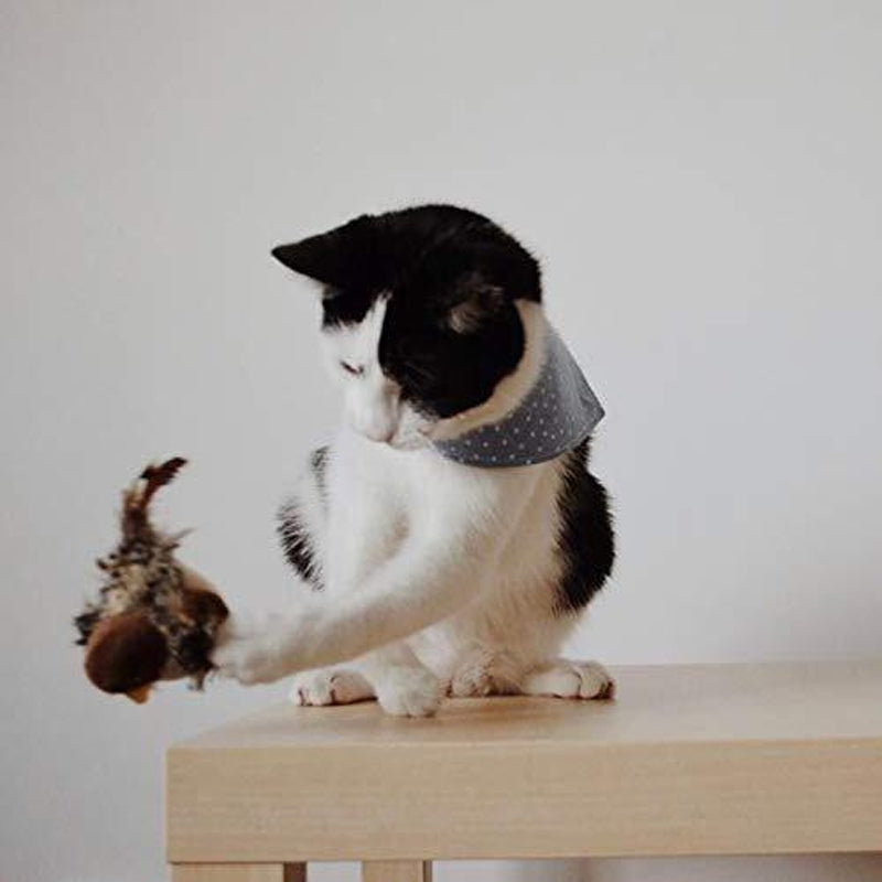 Chirping Bird Cat Toy with Real Bird Sounds
