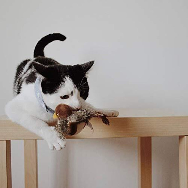 Chirping Bird Cat Toy with Real Bird Sounds