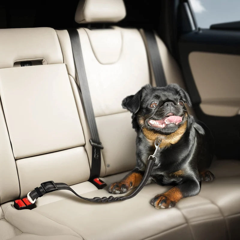 Elastic Dog Car Seat Belt with Shock-Absorbing Bungee