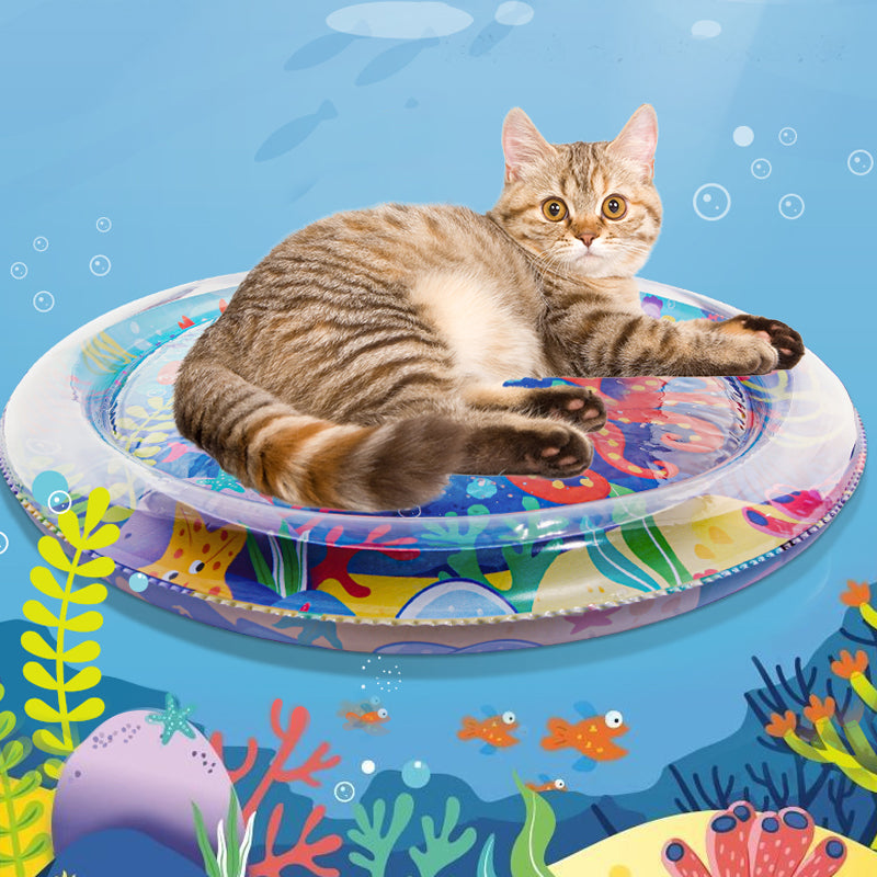 Water Sensory Play Mat for Cats & Dogs