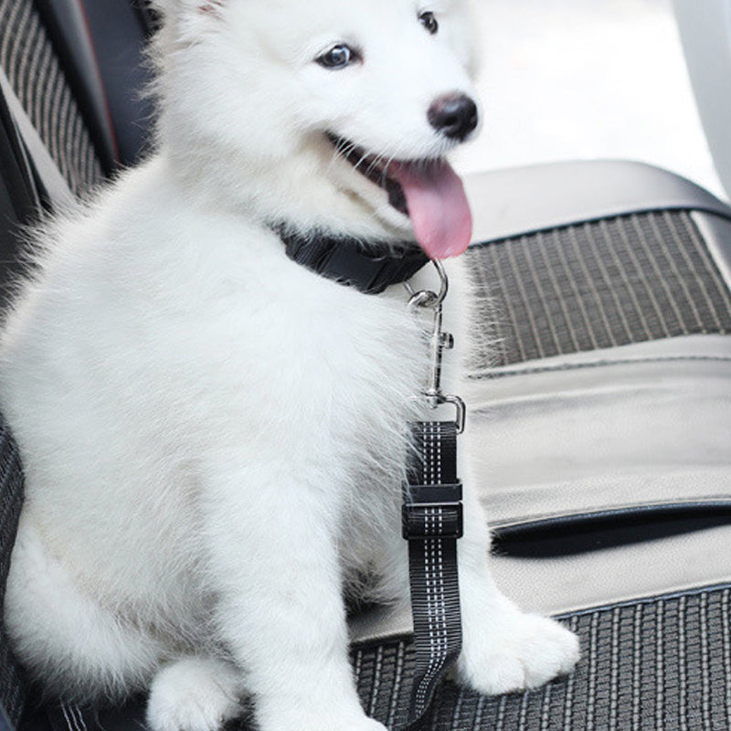 Elastic Dog Car Seat Belt with Shock-Absorbing Bungee