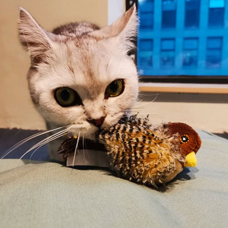 Chirping Bird Cat Toy with Real Bird Sounds