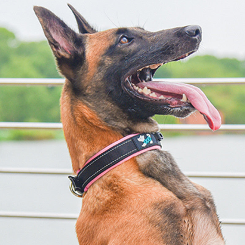 Reflective Padded Dog Collar with Metal Buckle