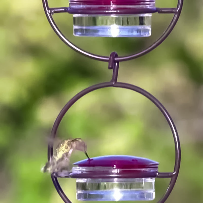 Hanging Hummingbird Feeder with Perch & Glass Dish