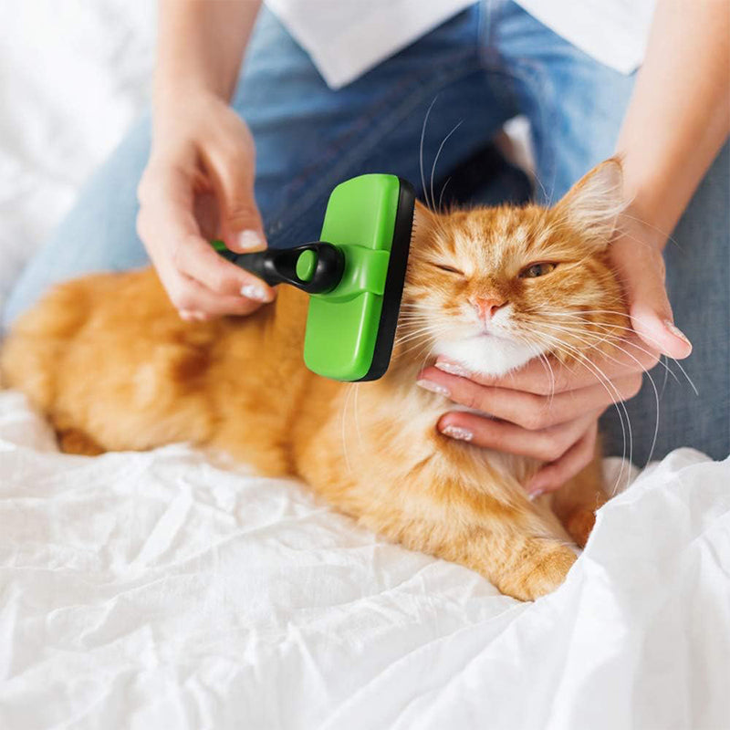 Self-Cleaning Slicker Brush for Shedding Dogs & Cats
