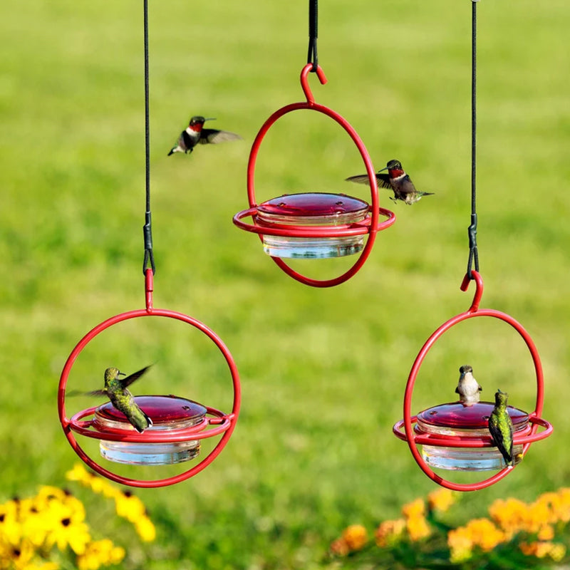 Hanging Hummingbird Feeder with Perch & Glass Dish