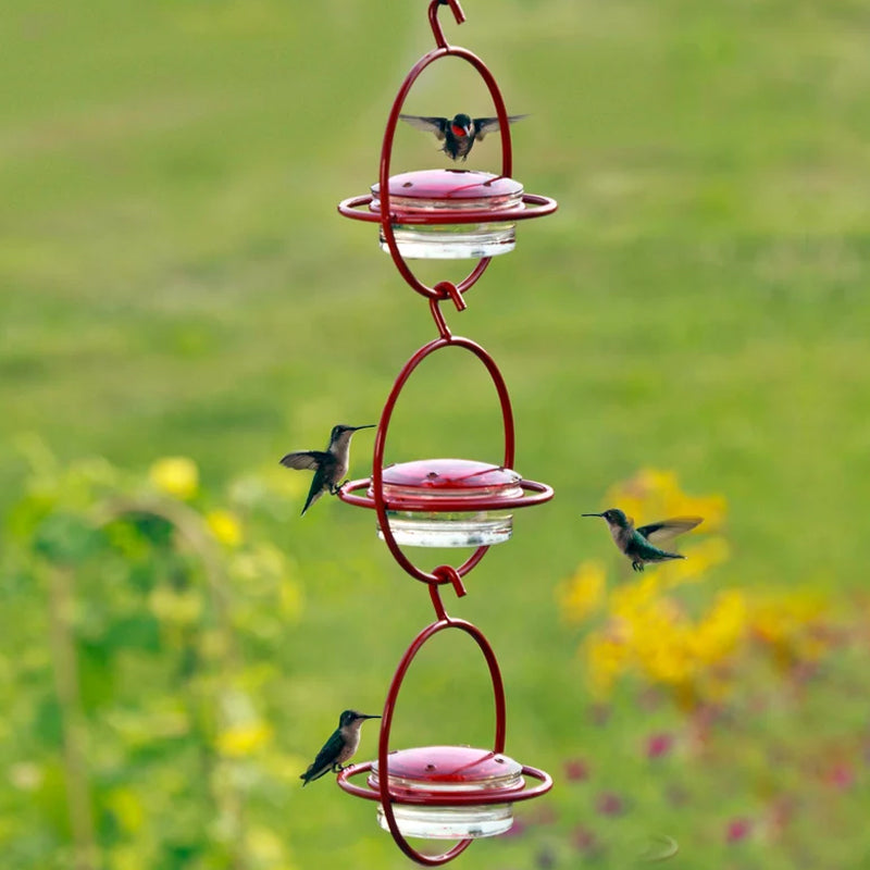 Hanging Hummingbird Feeder with Perch & Glass Dish