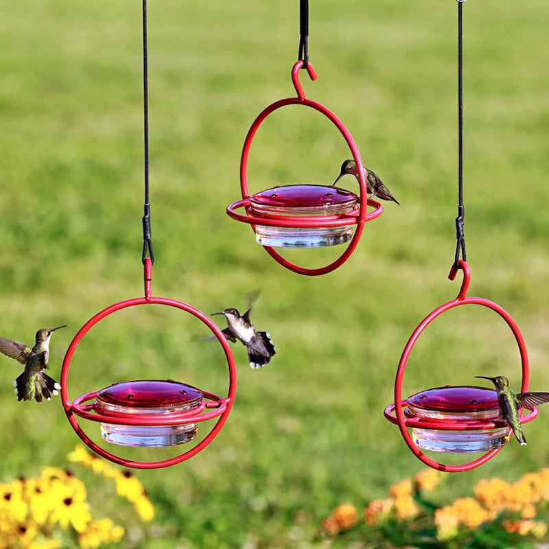 Hanging Hummingbird Feeder with Perch & Glass Dish