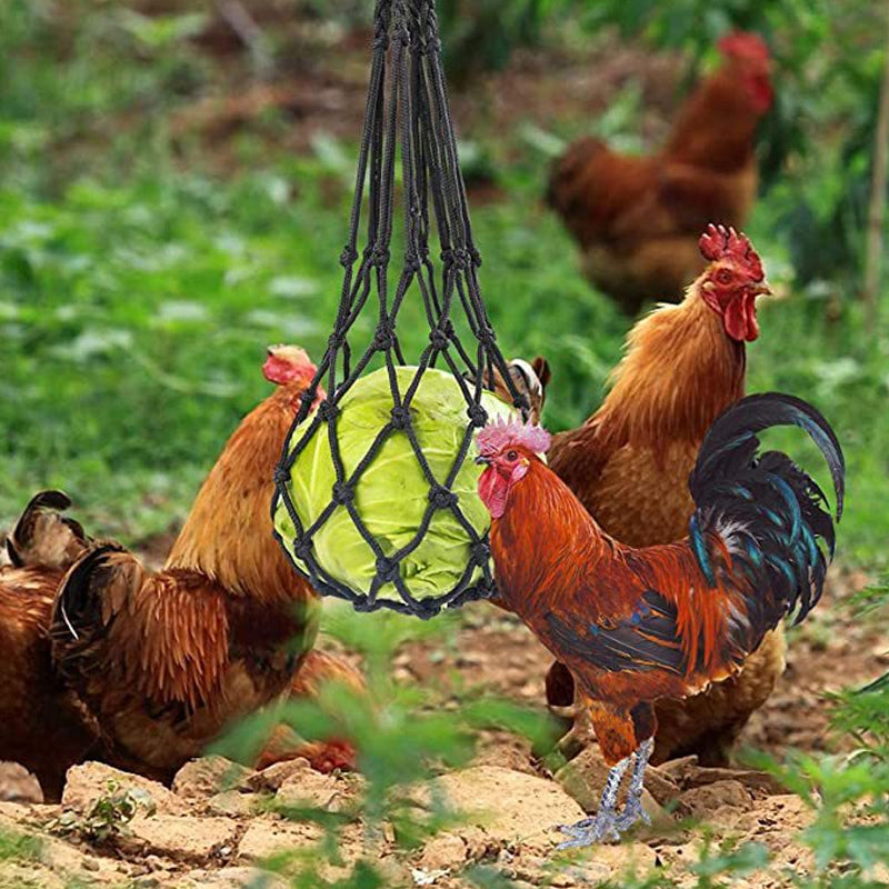 Hanging Veggie Treat Net for Chickens & Poultry