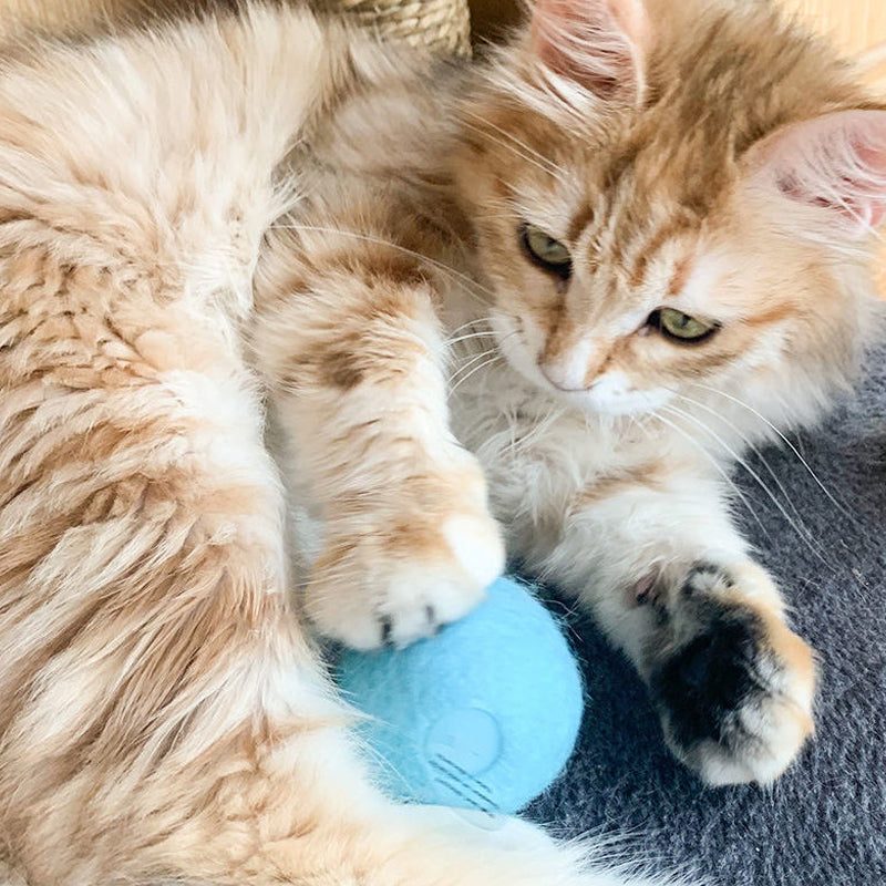 Smart Chirping Cat Ball - Touch-Activated Sounds