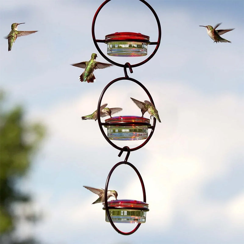 Hanging Hummingbird Feeder with Perch & Glass Dish