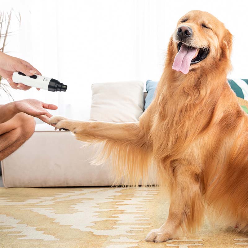 LED Pet Nail Grinder - Quiet Rechargeable Paw Trimmer