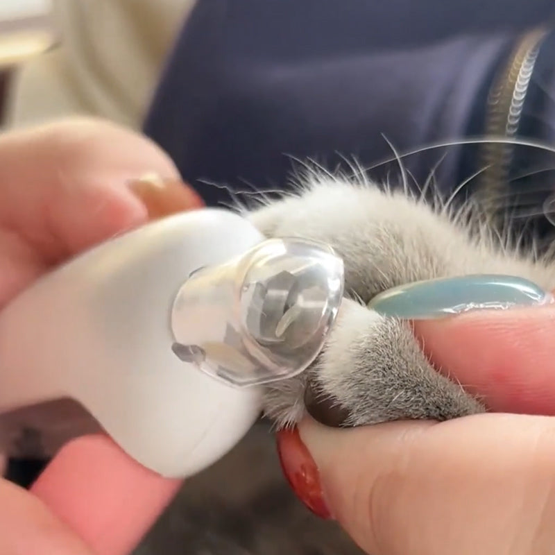 Adjustable Cat Nail Clipper with Splash Guard