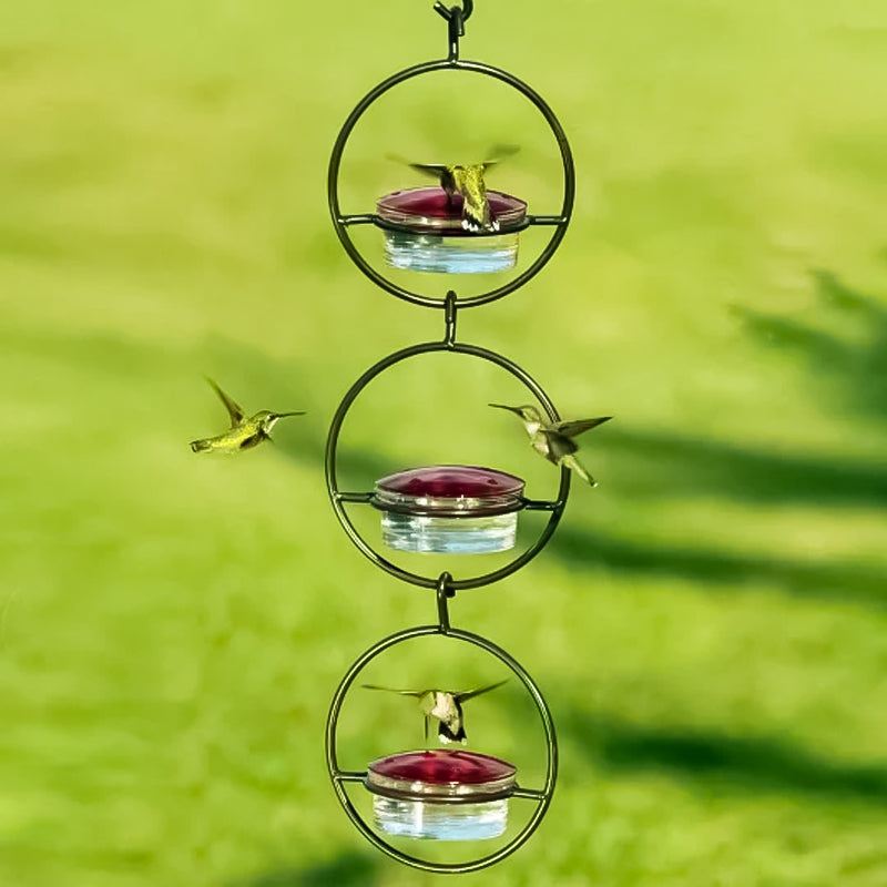 Hanging Hummingbird Feeder with Perch & Glass Dish