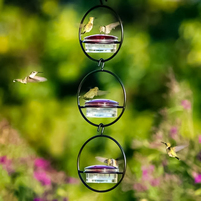 Hanging Hummingbird Feeder with Perch & Glass Dish