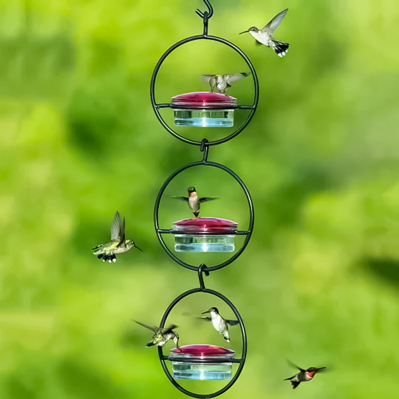 Hanging Hummingbird Feeder with Perch & Glass Dish