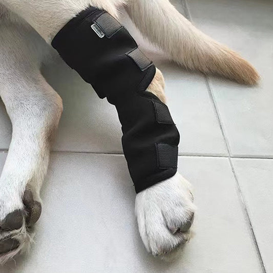 Rear Leg Hock Brace for Dogs - Pair