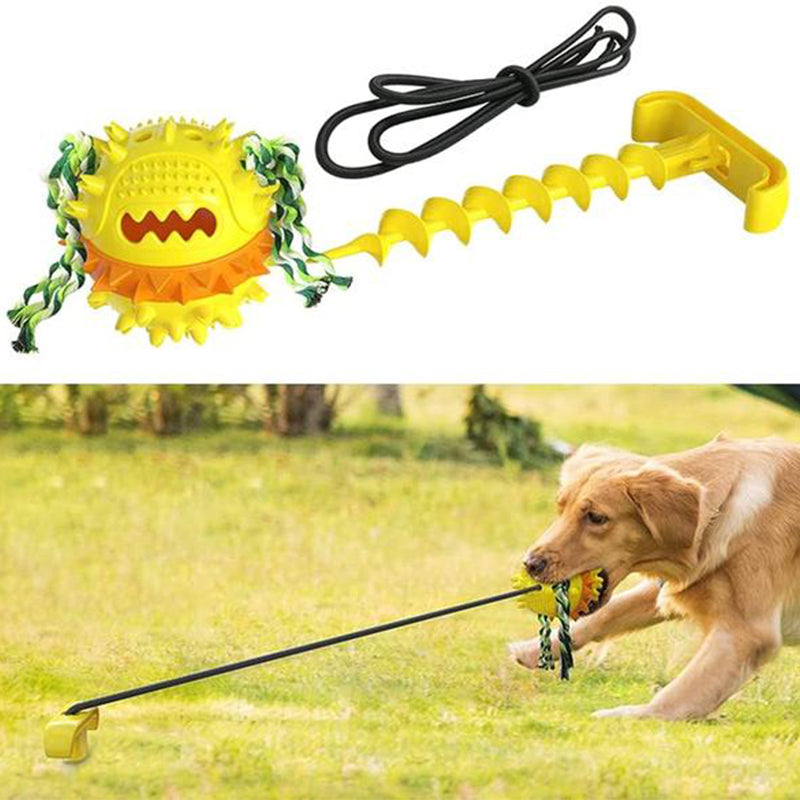 Outdoor Tug Toy with Ground Stake for Dogs