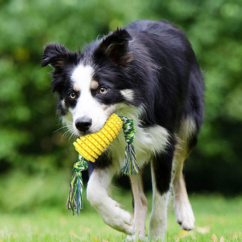 Corn Dental Chew Toy with Rope for Dogs