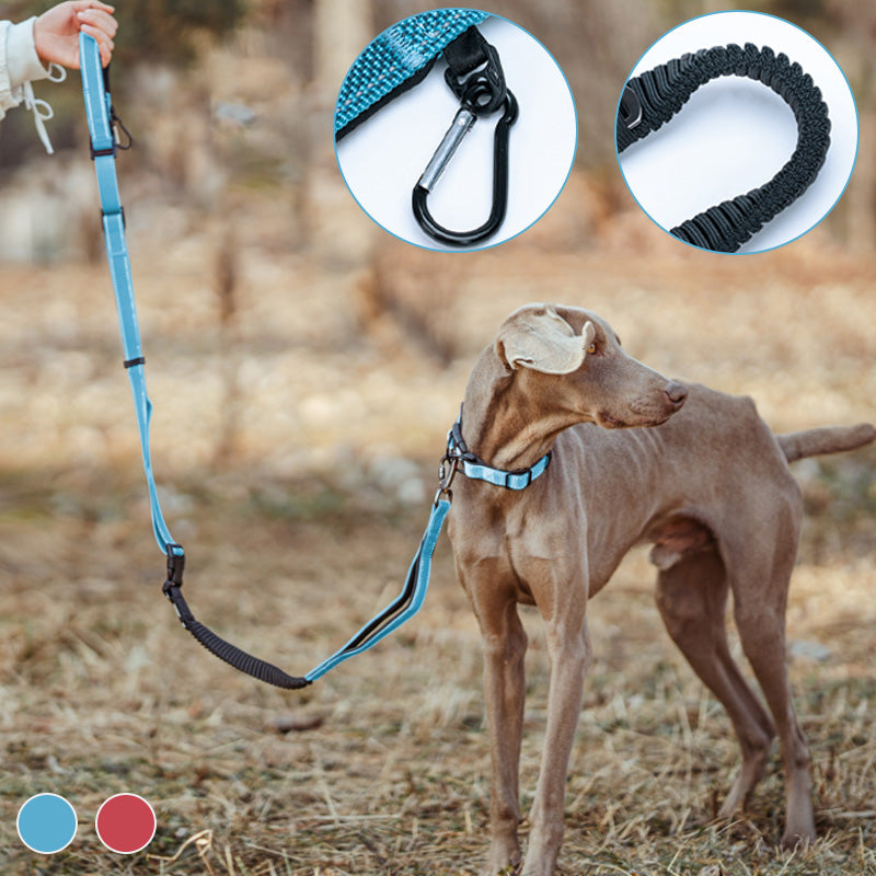 Hands-Free Bungee Dog Leash with Reflective Waist Belt