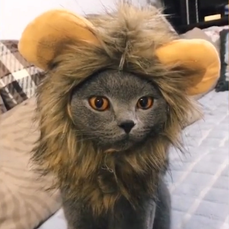 Lion Mane Costume Hat for Cats & Small Dogs